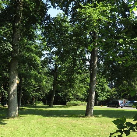 Hotel Waldschloesschen Plein Eksteriør billede